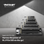 Case Enclosure M.2 Ssd Tipo C Y Usb Patriot TXD810 (0514) - Imagen 4